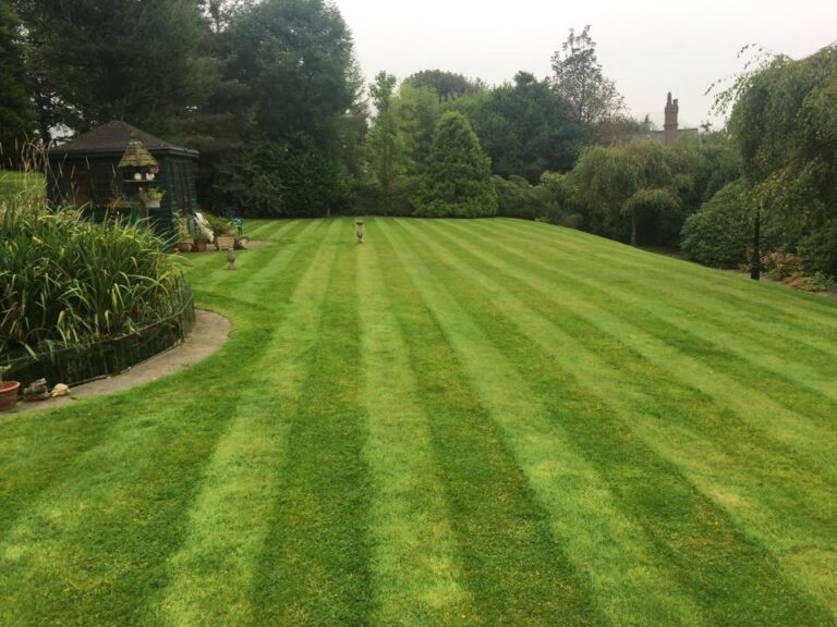 garden maintenance - Hyde