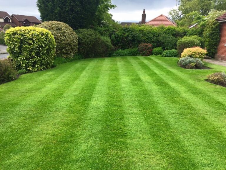 Gardening & Landscaping Services in Manchester | Pro Gardens Projects Ltd