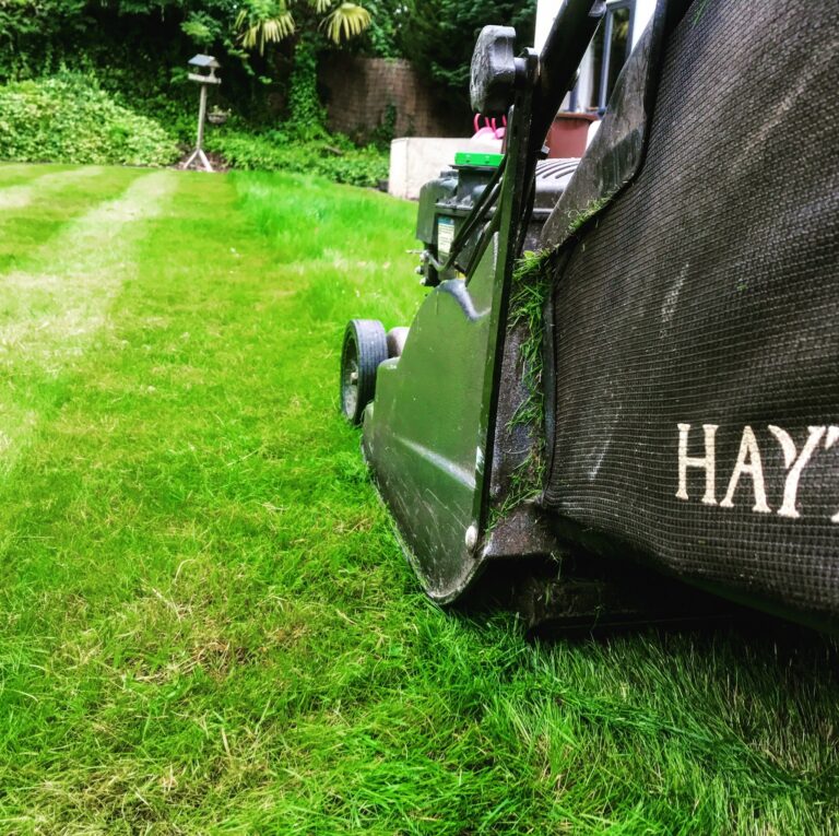 Garden maintenance - Hyde