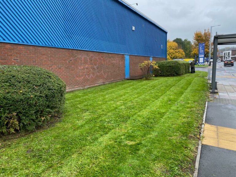 Commercial Lawn Mowing | Pro Gardens