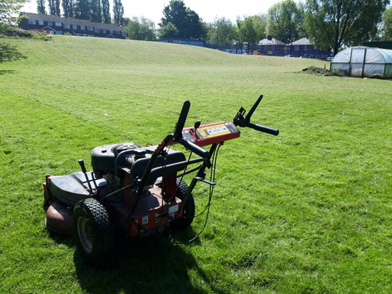 Lawn Mower on Grass | Pro Gardens