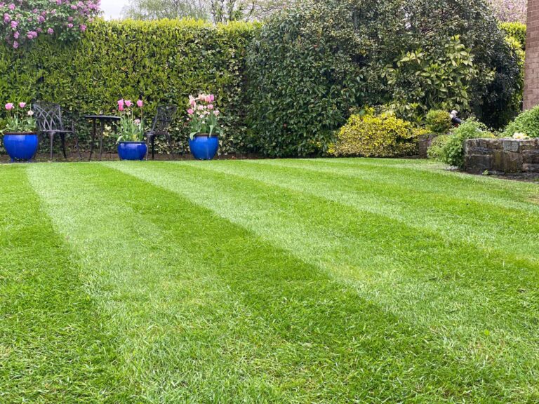 Ashton Under Lyne Garden Maintenance