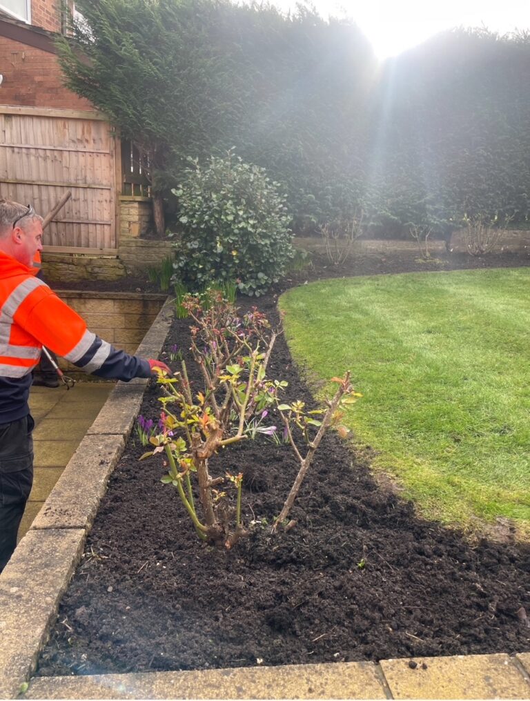 Garden Maintenance Stalybridge